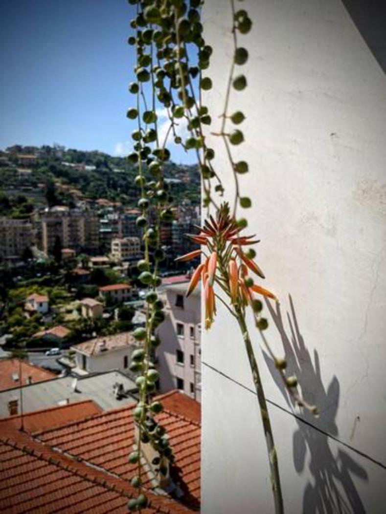 248 - Casa Amarcord - Vintage Vista Mare E A Pochi Minuti Dal Centro Di Apartment *